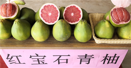 果品展示