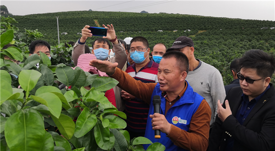 农业技术专家介绍种植技术
