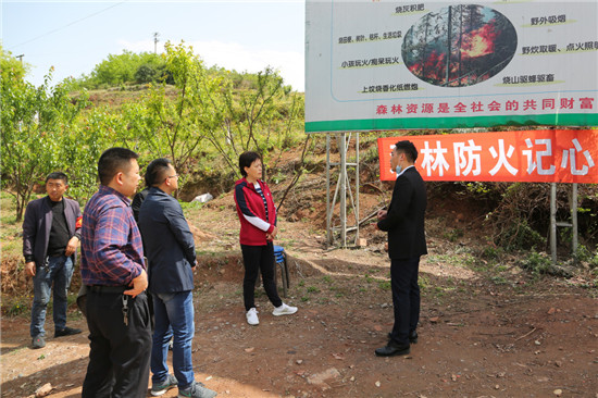 东坡区区委书记朱莉检查全区重点行业安全生产