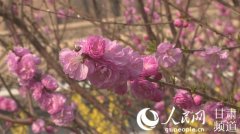 安徽将组织实施一批科技重大项目