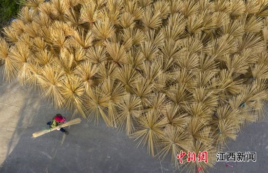 江西新余：竹产业绽放“致富之花”