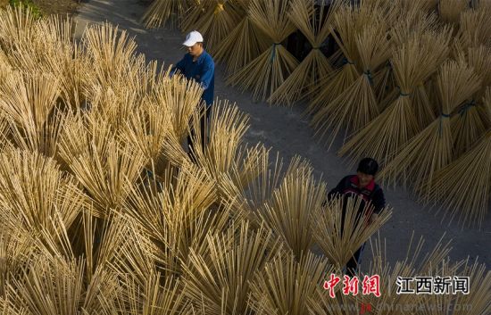 江西新余：竹产业绽放“致富之花”