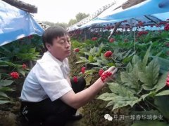 深耕行业14载，参艾五行开创科技美容新纪元