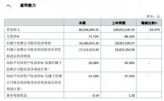 百年育才2019年亏损1628.6万元受自主招生政策影响