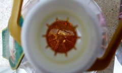 好粮油压榨菜籽油等五项团标实施 力促行业高质