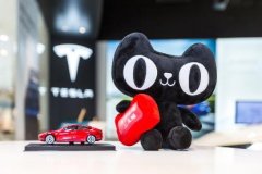 特斯拉入驻天猫 外资企业加速布局中国市场