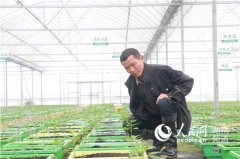 湖南：稳春耕 促销售 农业大省复产忙