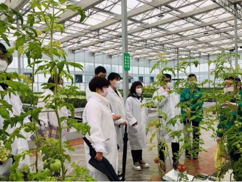 疫情防控复工复产的守护者:记青岛市人大代表，中信银行青岛分行党委书记、行长刘泽云