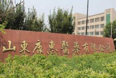 <b>急救药涨价断供背后：经销商垄断原料药被罚3亿</b>