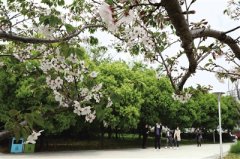 大红包撬动“买买买” 温州消费市场复苏按下“