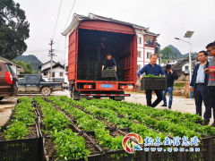 万潮镇：发放辣椒苗，播种“红火”产业