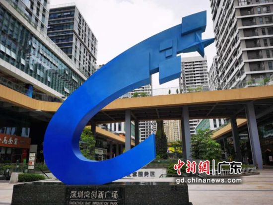 图为深圳湾科技生态园。摄影：陈文 