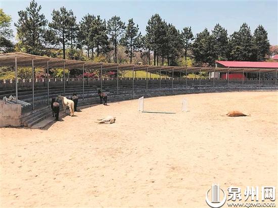 旅游行业遇冷 泉州景区携手共渡难关练好内功迎客