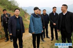 陈莲在瓦庙镇检查调研脱贫攻坚和产业发展等工