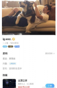 游戏陪练火爆：平均月收入7857元！金字塔赚到房子