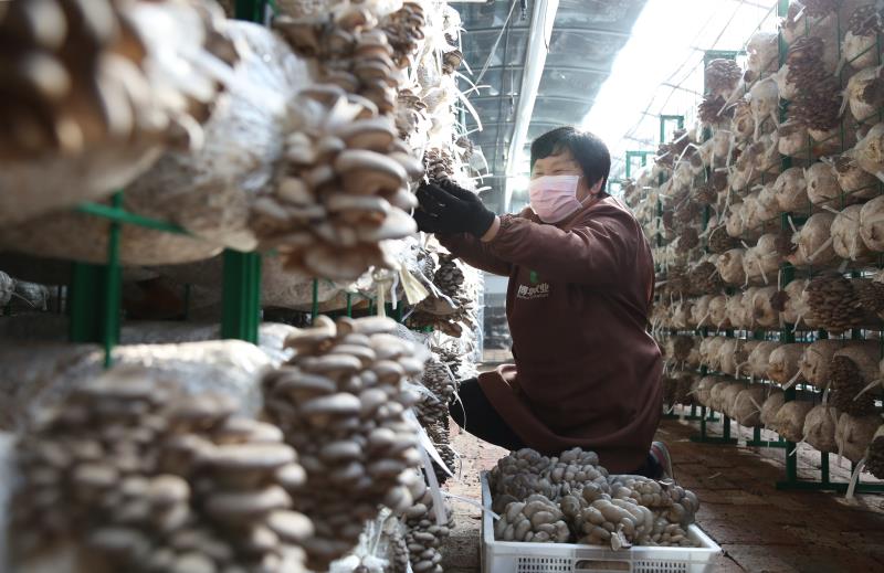 滨州工业企业疫情防控进入常态化