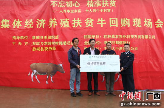 广西桂林恭城瑶乡举办扶贫牛回购现场会