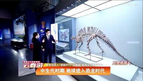 芒果超媒财报发布，芒果TV凭前瞻布局表现亮眼