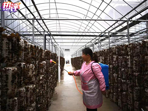 战“疫”每日观察丨就业怎么保？从习近平陕西之行找答案