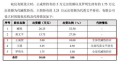皖仪科技冲刺IPO：股权代持存疑云 子公司未建账