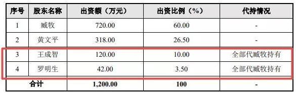 皖仪科技冲刺IPO：股权代持存疑云 子公司未建账