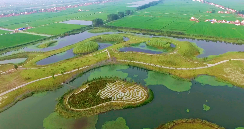 【新时代 新作为 新篇章】南通：聚焦产业发展