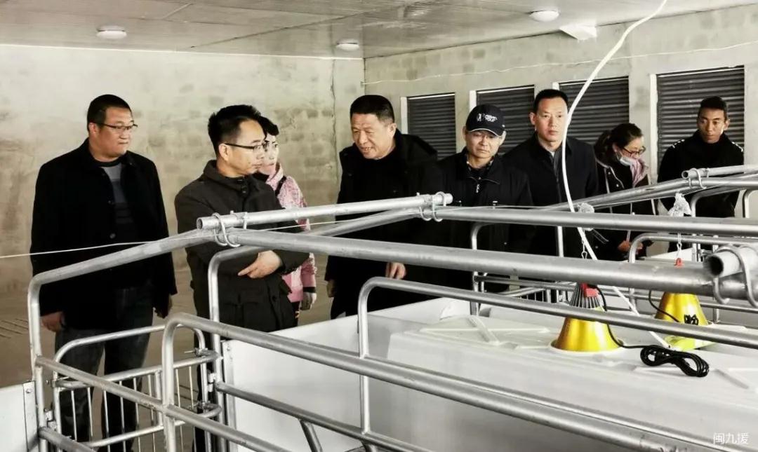 福建省第九批援藏工作队藏香猪产业专家组到边