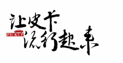 首 个中国皮卡行业专业组织正式在京成立