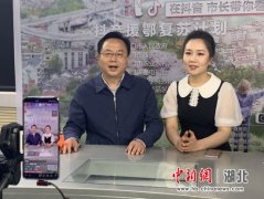 大力培育线上线下新消费 荆门市长直播带货