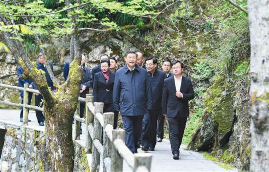 直与天地争春回——记习近平总书记在陕西考察