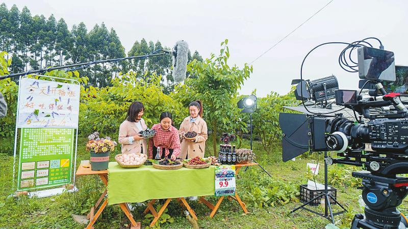 四川提出省级直播行业发展计划 2022年底实现直播