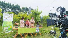 四川提出省级直播行业发展计划 2022年底实现直播