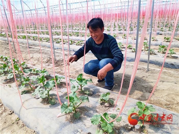 【甘肃省决战决胜脱贫攻坚】酒泉瓜州：“甜蜜产业”助农致富 美味瓜果四季飘香