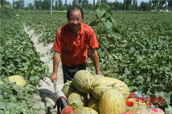 【甘肃省决战决胜脱贫攻坚】酒泉瓜州：“甜蜜产业”助农致富 美味瓜果四季飘香