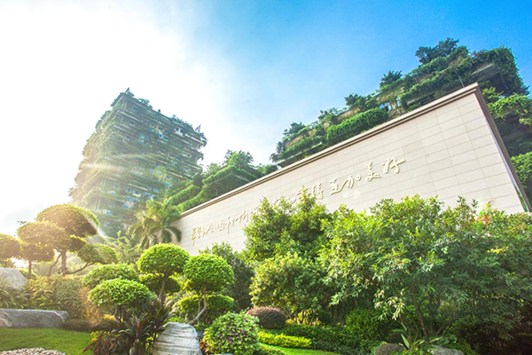 开启增收模式！碧桂园发起“凤凰通”乡村经纪人招募活动