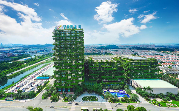 开启增收模式！碧桂园发起“凤凰通”乡村经纪人招募活动