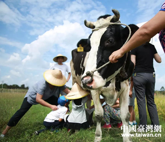 台湾姑娘在四川做农场主 与两岸青年一起种“田园梦”