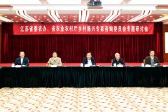 江苏省建立乡村振兴专家决策咨询制度