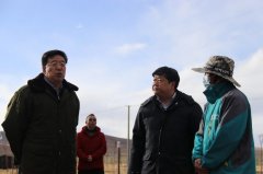 吴英杰视察亿利那曲科技植树与绿化模式示范项