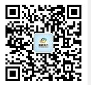 2019年中国炼焦煤行业分析报告