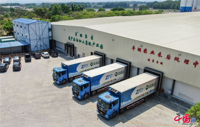 “您的海南水果已发货！” 中通冷链助农扶贫递