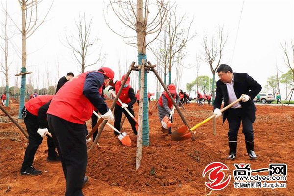 2020年常德市场监管局将创建全国文明单位 明确