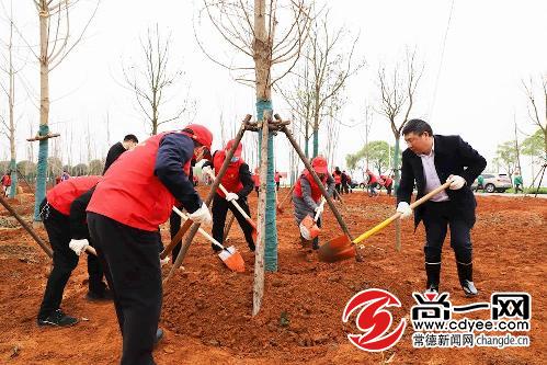 2020年常德市场监管局创建全国文明单位明确3项要