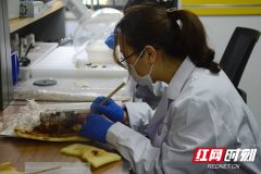 五一特别报道丨科技考古工作者：我们在实验室里“鉴证”历史