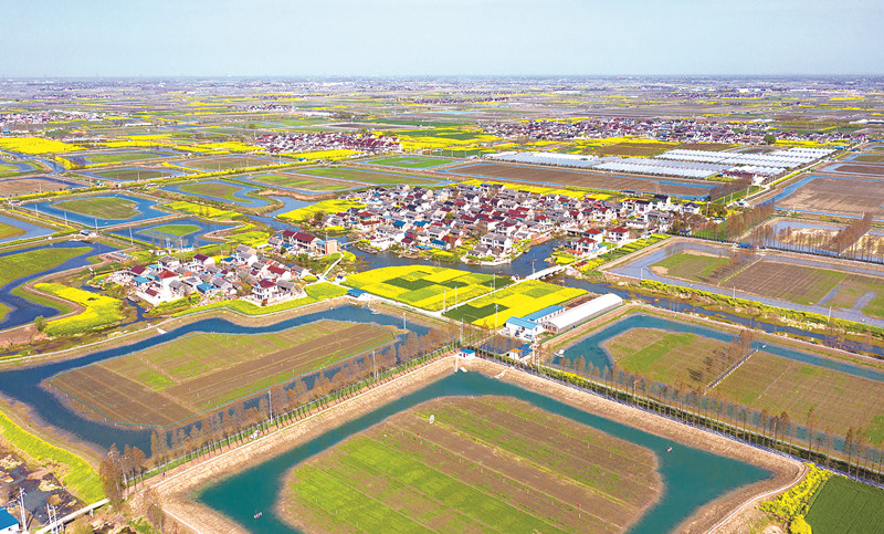 基本农田禁挖蟹塘，螃蟹产业如何发展?