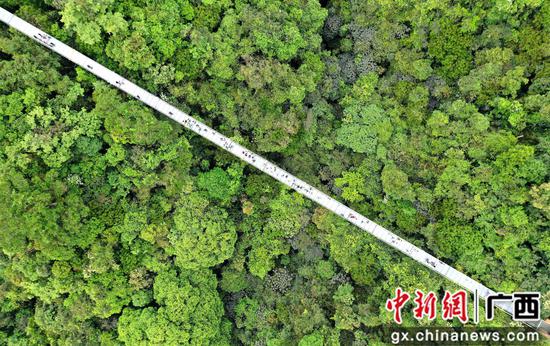 5月2日，在严格实施疫情防控措施后，双龙沟景区玻璃桥上游客数量得到有效控制，秩序井然。