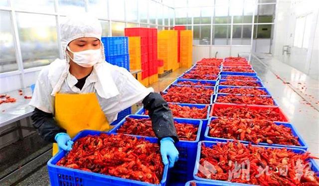 我国启动建设50个优势特色产业集群，湖北占两席