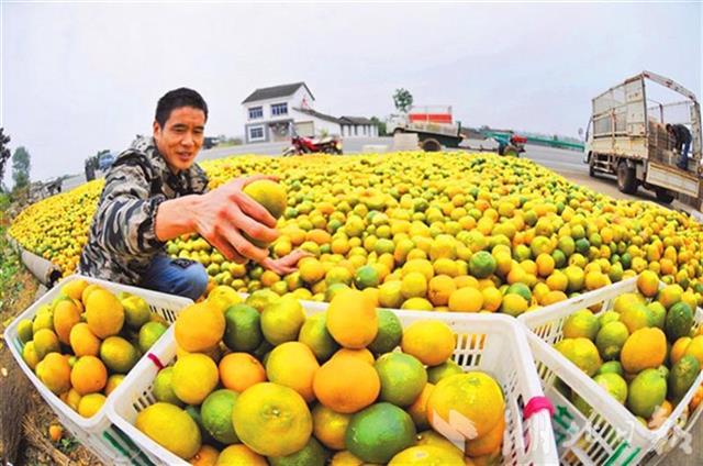 我国启动建设50个优势特色产业集群，湖北占两席