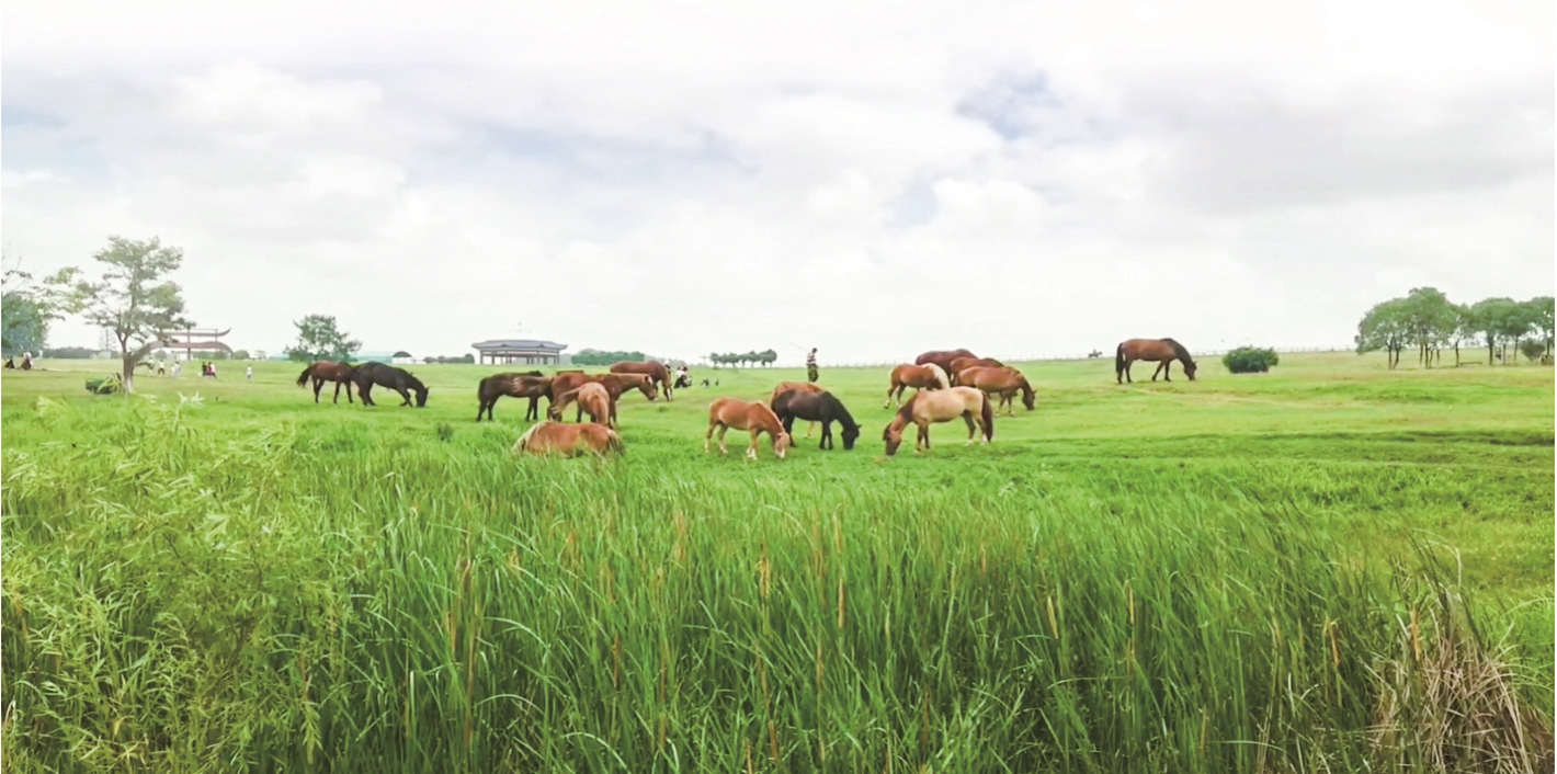 湖北鼓励周末2.5天休假制 为职工旅游创造条件