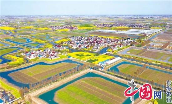 看合陈镇兴村富民新探索